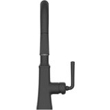 Paramous Single Handle Pull-Down Kitchen Faucet - Matte Black