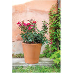 10.12" Cono Clay Pot - Terracotta