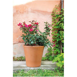 10.12" Cono Clay Pot - Terracotta