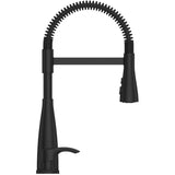 Raya Single Handle Pull-Down Kitchen Faucet - with Industrail Spring , Matte Black