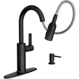 Durani Modern Single Handle Pull-Down Kitchen Faucet - Black