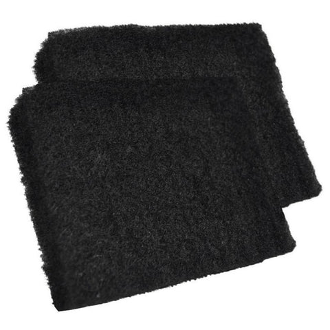 Wagner Spraytech 2PK Wagner Spray TECH 0529019 Flexio 2 Pack Replacement Filter, Black