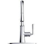 Paramous Single Handle Pull-Down Kitchen Faucet - Chrome