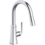 Paramous Single Handle Pull-Down Kitchen Faucet - Chrome