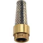 1" Foot Valve - Brass and Stainless Steel