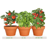 Healthy Veggie Italian Trio Grow Kit