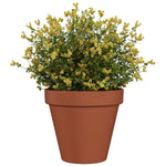 10" Standard Clay Planter