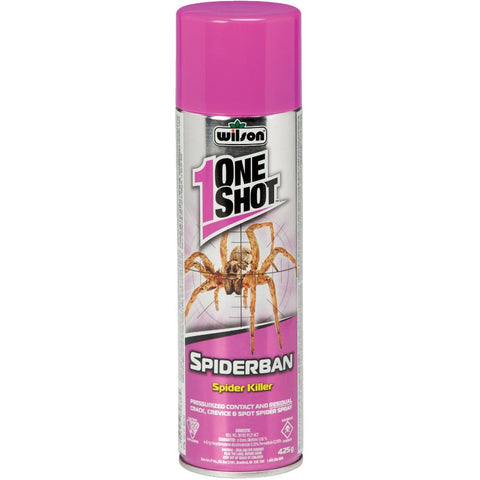 SpiderOUT Spider Killer Aerosol - 425 g