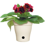 10 inch(s) Self-Watering Cream Contempra Planter