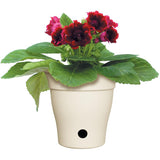 10 inch(s) Self-Watering Cream Contempra Planter