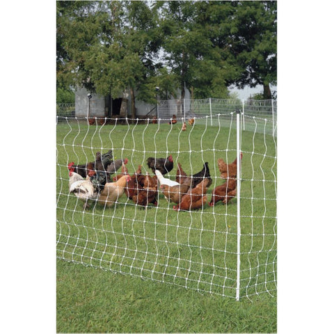 Gallagher Electric Poultry Netting, Chicken Fence Repels Predators, 9 Mixed Metal Strands for 48x More Conductivity and Consistent Voltage, Sturdy Wire Fencing Keeps Poultry Safe - 164' x 48"