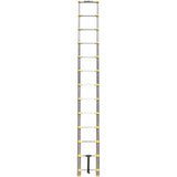 12' Telescopic Ladder