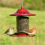 Perky-Pet 312R Red Sparkle Panorama Bird Feeder