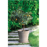10.12" Cono Clay Pot - Grafite