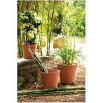 10.12" Cono Clay Pot - Terracotta