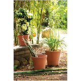 10.12" Cono Clay Pot - Terracotta