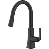 Paramous Single Handle Pull-Down Kitchen Faucet - Matte Black