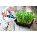 Green Pea Microgreens Grow Kit