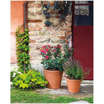 10.12" Cono Clay Pot - Terracotta