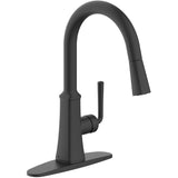 Paramous Single Handle Pull-Down Kitchen Faucet - Matte Black