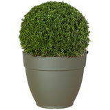 12" Capri Campana Round Planter - Dark Green