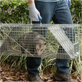 Havahart 1045 Live Animal 2-Door Raccoon, Stray Cat, Opossum, and Groundhog Cage Trap