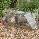 Havahart 1045 Live Animal 2-Door Raccoon, Stray Cat, Opossum, and Groundhog Cage Trap