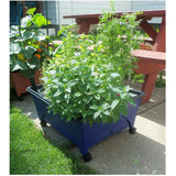 Hydroponic Raised Garden Planter Kit