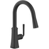 Paramous Single Handle Pull-Down Kitchen Faucet - Matte Black