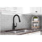 Paramous Single Handle Pull-Down Kitchen Faucet - Matte Black