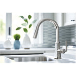 Paramous Single Handle Pull-Down Kitchen Faucet - Chrome