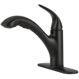 Medina Single Handle Pull-Out Kitchen Faucet - Black