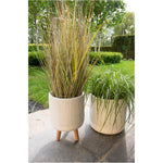 Off-White Logan Ceramic Planters - 2 Piece, Assortment