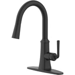 Paramous Single Handle Pull-Down Kitchen Faucet - Matte Black