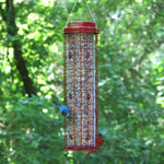 Perky-Pet Squirrel Resistant Easy Feeder