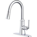 Paramous Single Handle Pull-Down Kitchen Faucet - Chrome