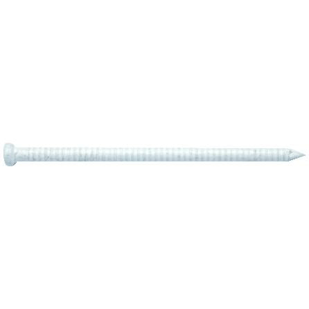 1-5/8" White Paneling Nails - 160g