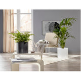 11" Panna Fashionista Ceramic Planter