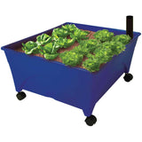 Hydroponic Raised Garden Planter Kit