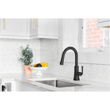 Paramous Single Handle Pull-Down Kitchen Faucet - Matte Black