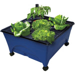 Hydroponic Raised Garden Planter Kit