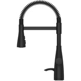 Raya Single Handle Pull-Down Kitchen Faucet - with Industrail Spring , Matte Black