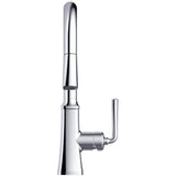 Paramous Single Handle Pull-Down Kitchen Faucet - Chrome