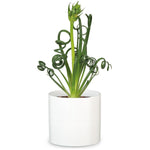 11" Panna Fashionista Ceramic Planter