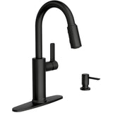 Durani Modern Single Handle Pull-Down Kitchen Faucet - Black