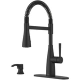 Raya Single Handle Pull-Down Kitchen Faucet - with Industrail Spring , Matte Black