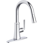 Paramous Single Handle Pull-Down Kitchen Faucet - Chrome