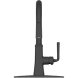 Paramous Single Handle Pull-Down Kitchen Faucet - Matte Black