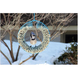 Wreath Peanut Feeders - Spring Green