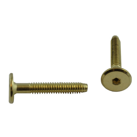 2 Pack 1/4" x 1-5/8" Brass Plated Connector Bolts